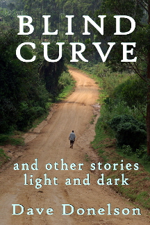 Blind Curve and other stories light and dark